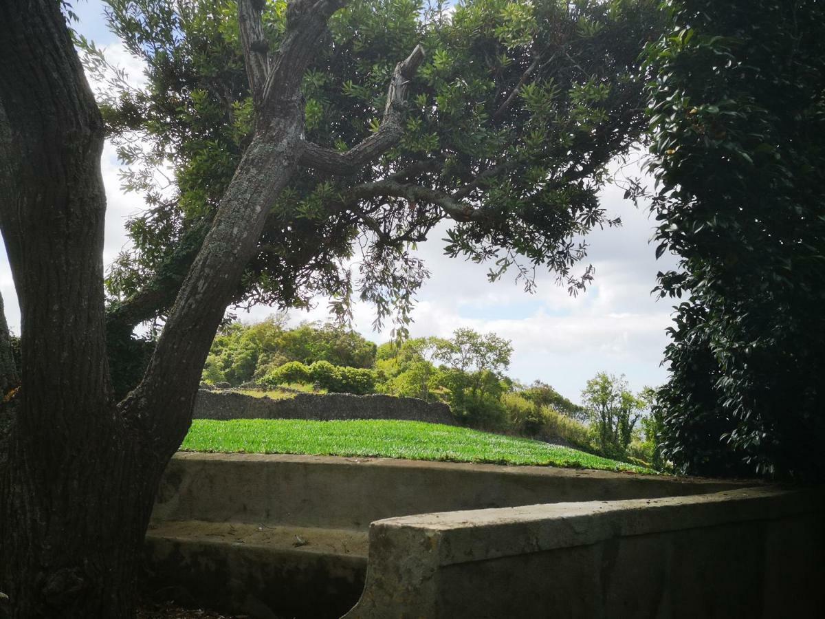 Quinta Das Camelias - Acores Ponta Delgada 외부 사진